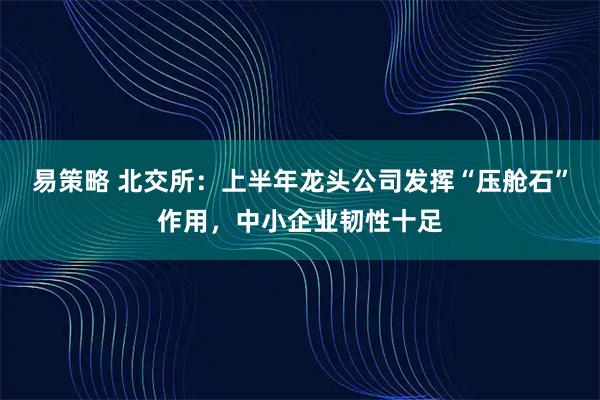 易策略 北交所：上半年龙头公司发挥“压舱石”作用，中小企业韧性十足