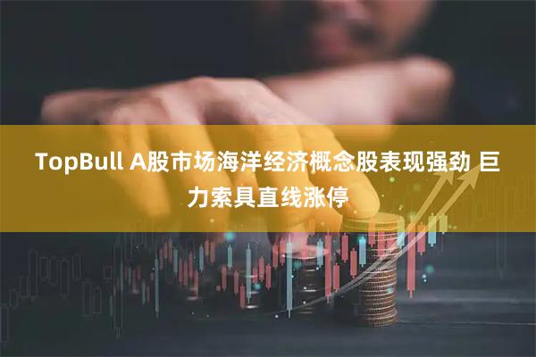 TopBull A股市场海洋经济概念股表现强劲 巨力索具直线涨停