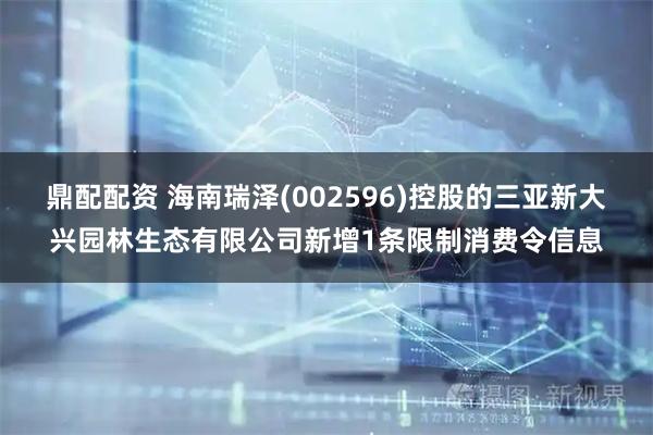 鼎配配资 海南瑞泽(002596)控股的三亚新大兴园林生态有限公司新增1条限制消费令信息