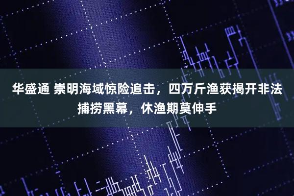 华盛通 崇明海域惊险追击，四万斤渔获揭开非法捕捞黑幕，休渔期莫伸手