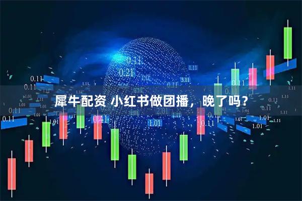 犀牛配资 小红书做团播，晚了吗？