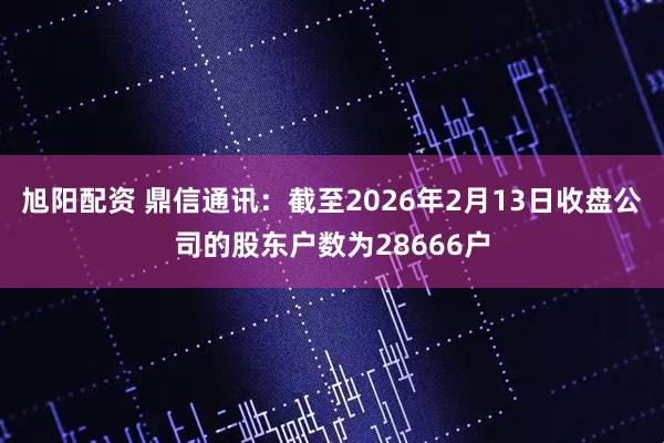 旭阳配资 鼎信通讯：截至2026年2月13日收盘公司的股东户数为28666户