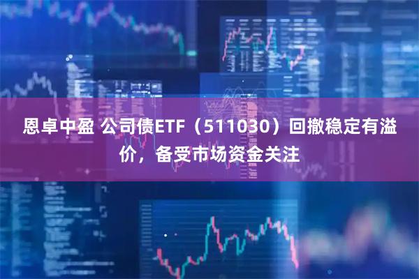 恩卓中盈 公司债ETF（511030）回撤稳定有溢价，备受市场资金关注