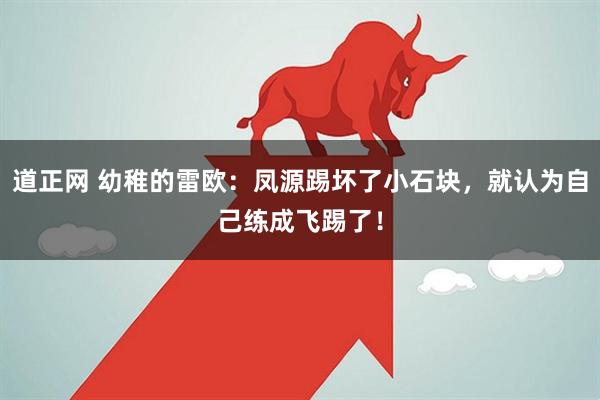 道正网 幼稚的雷欧：凤源踢坏了小石块，就认为自己练成飞踢了！